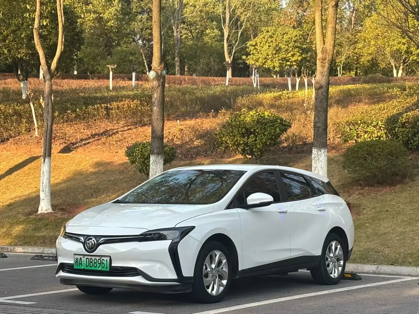 Buick Micro blue 6  из Китая