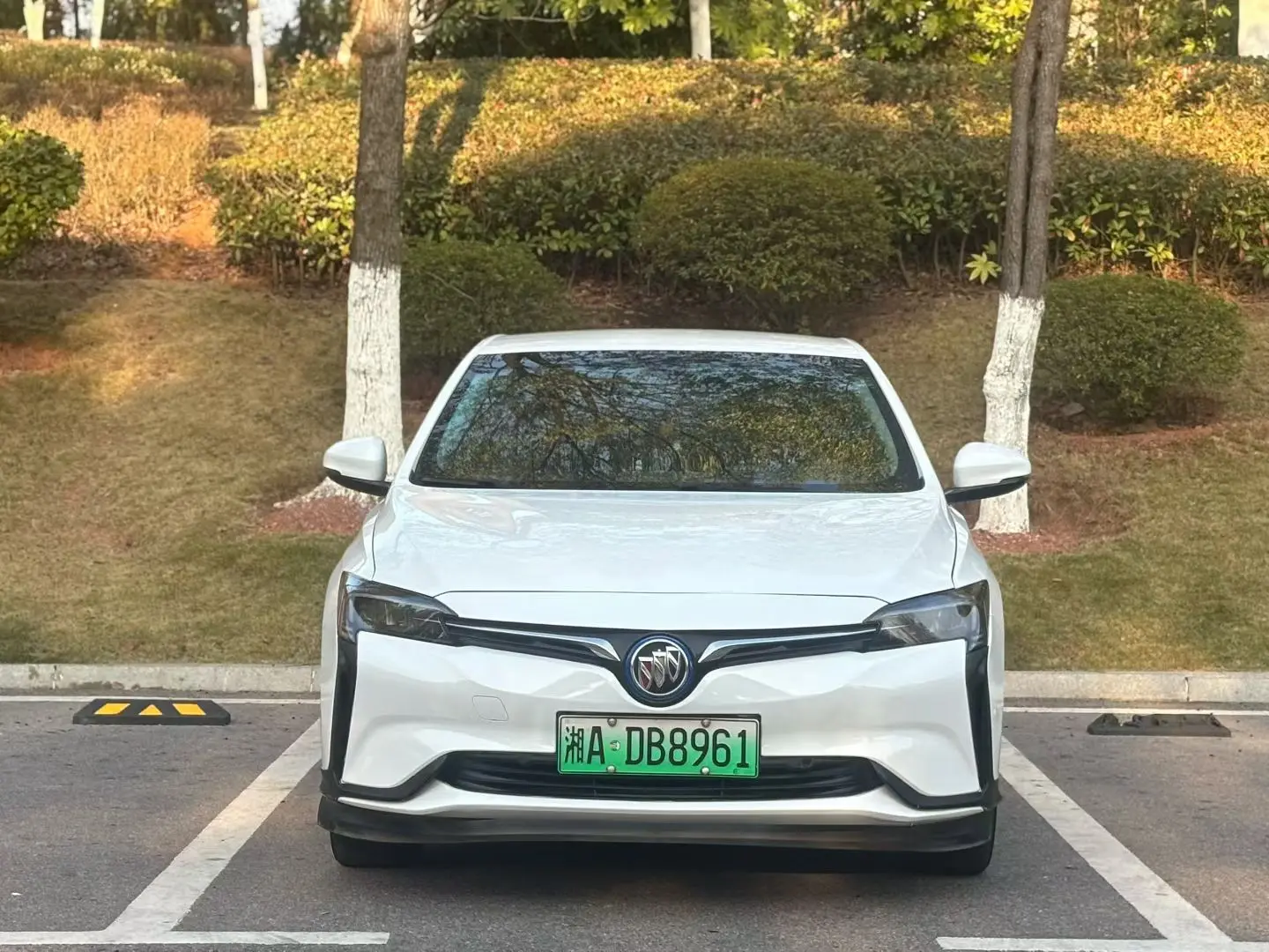 Buick Micro blue 6  из Китая