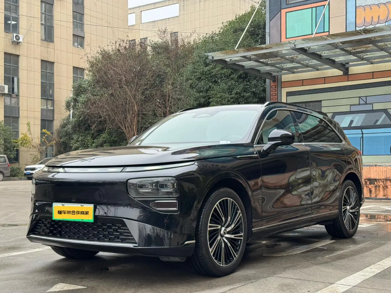 Xpeng G9  из Китая