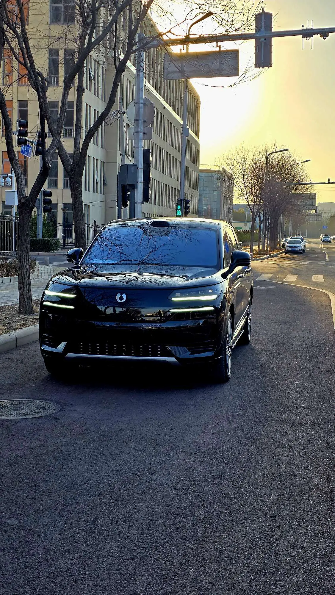 Denza Tengzhong N9 DM  из Китая