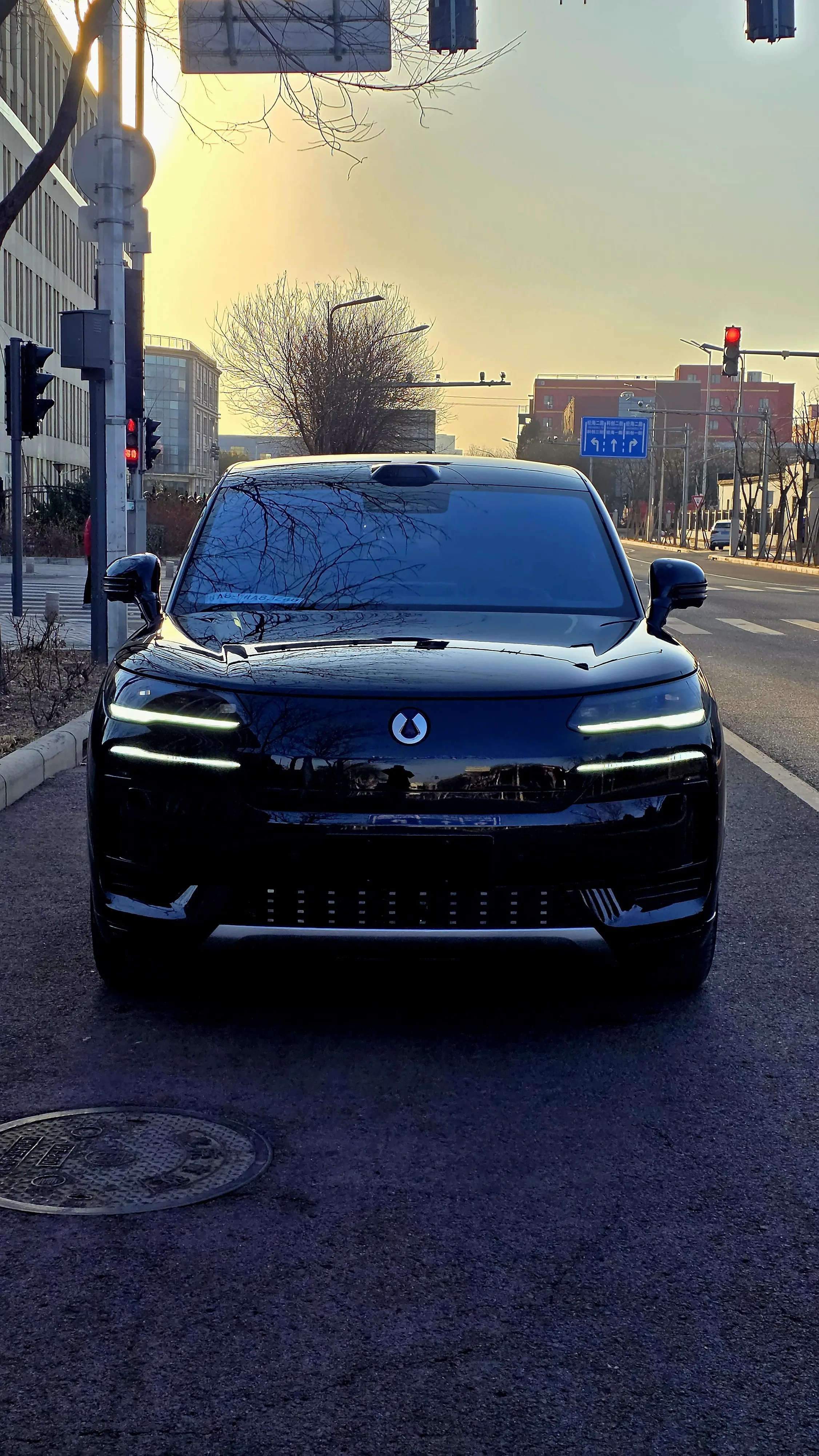 Denza Tengzhong N9 DM  из Китая