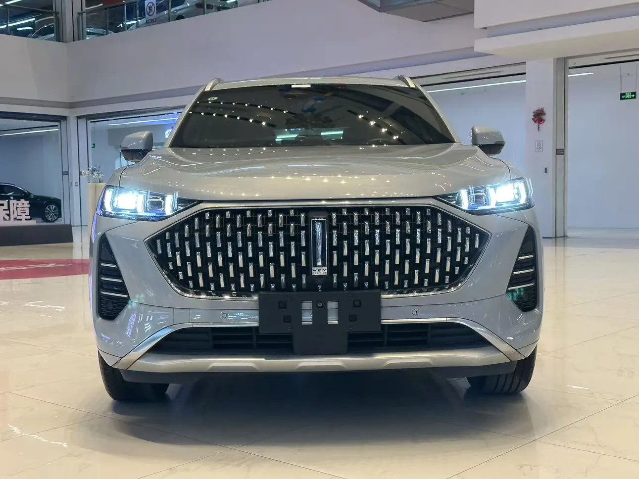 Wey Mocha  из Китая