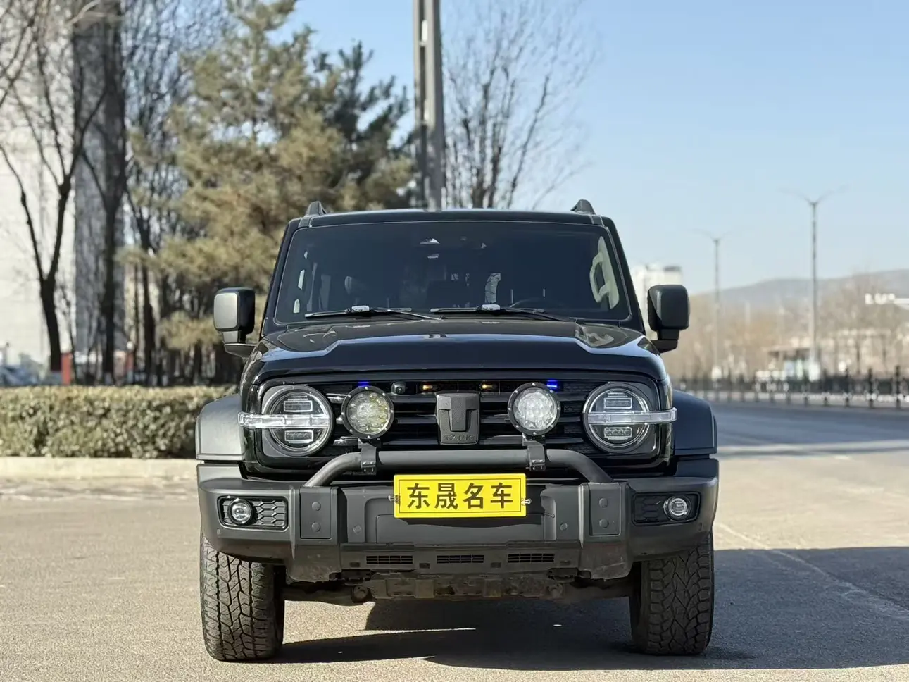 Tank 300  из Китая