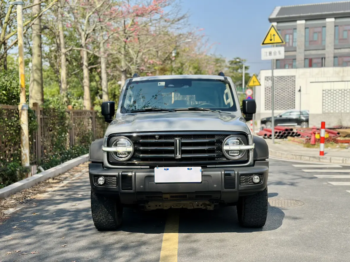 Tank 300  из Китая