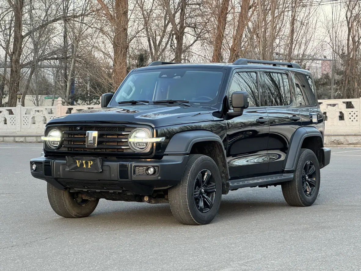 Tank 300  из Китая