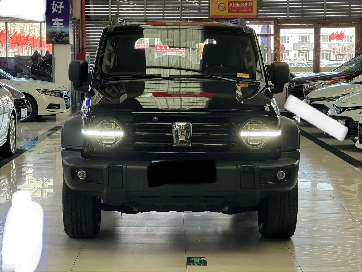 Tank 300  из Китая