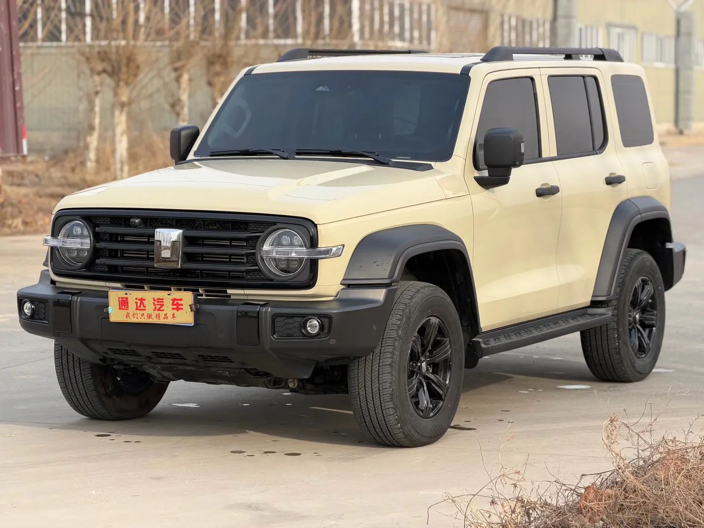 Tank 300  из Китая