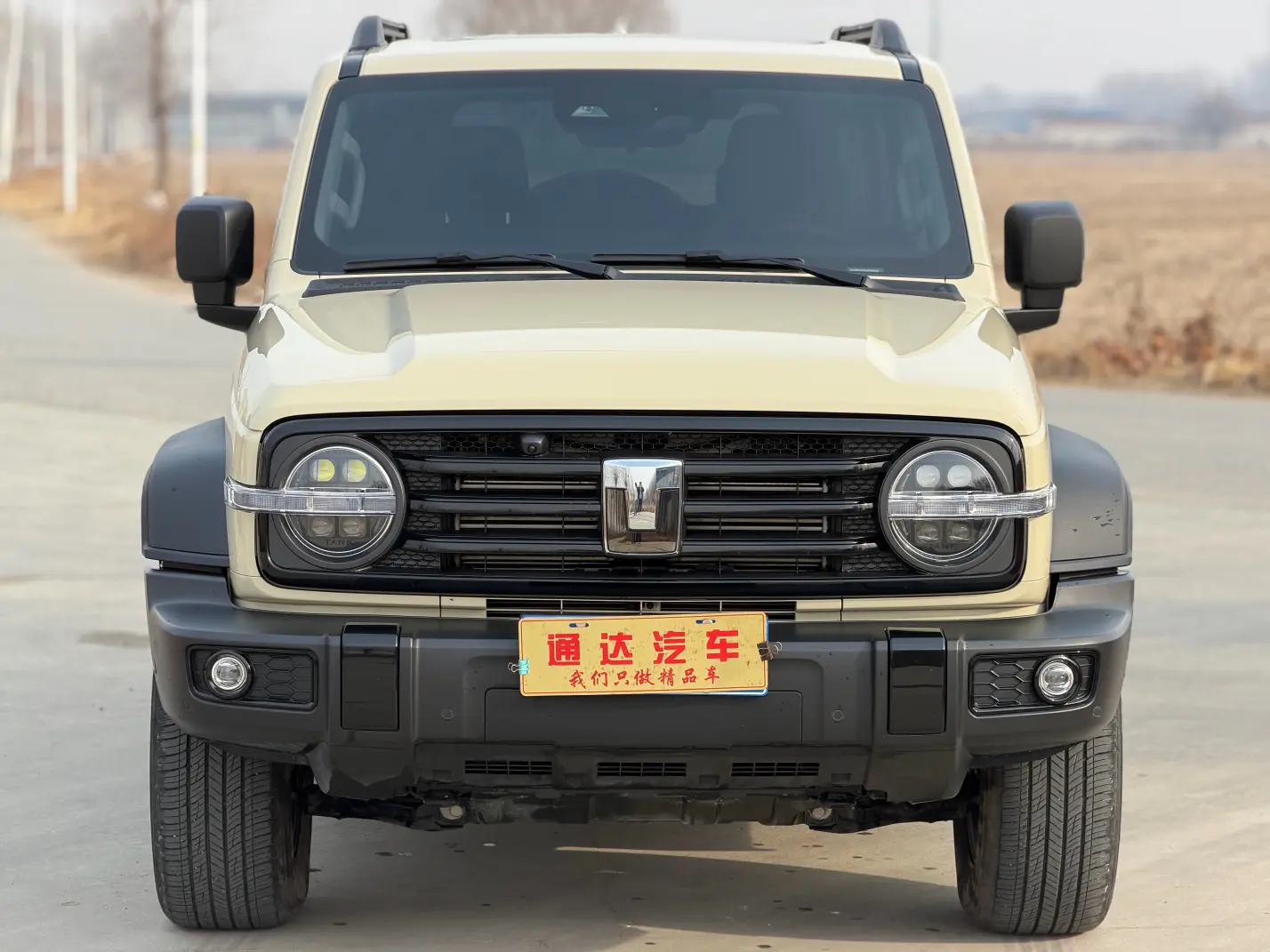 Tank 300  из Китая