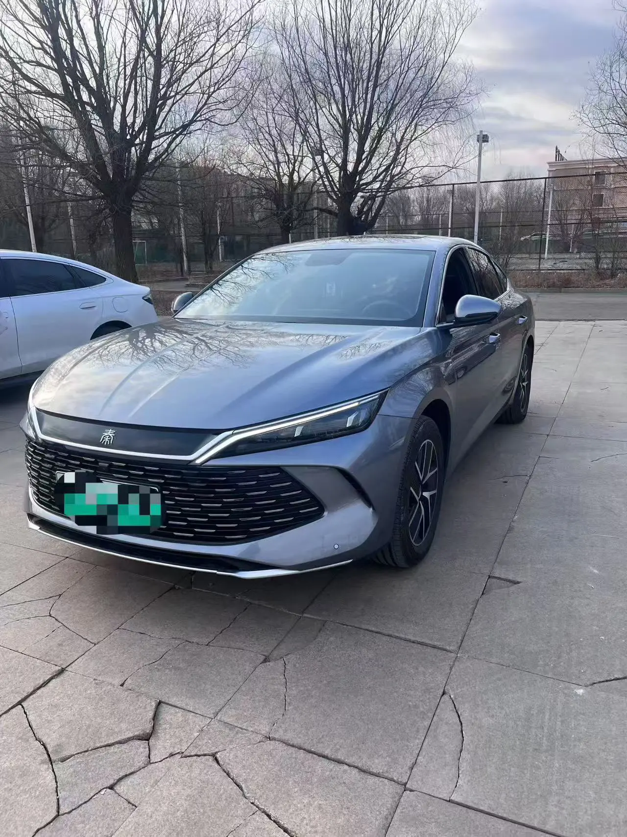 BYD Qin L DM  из Китая