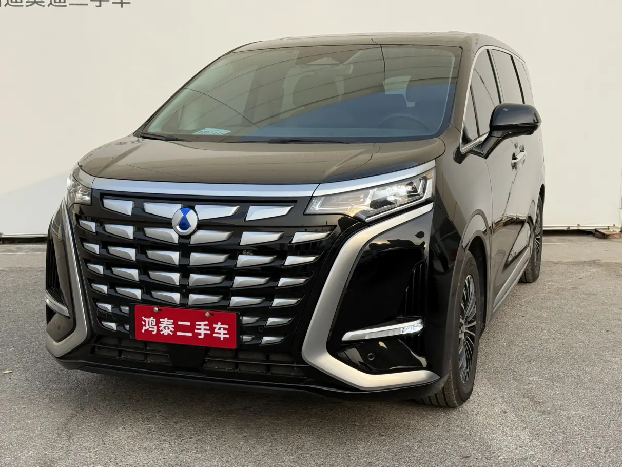 Denza D9 DM  из Китая