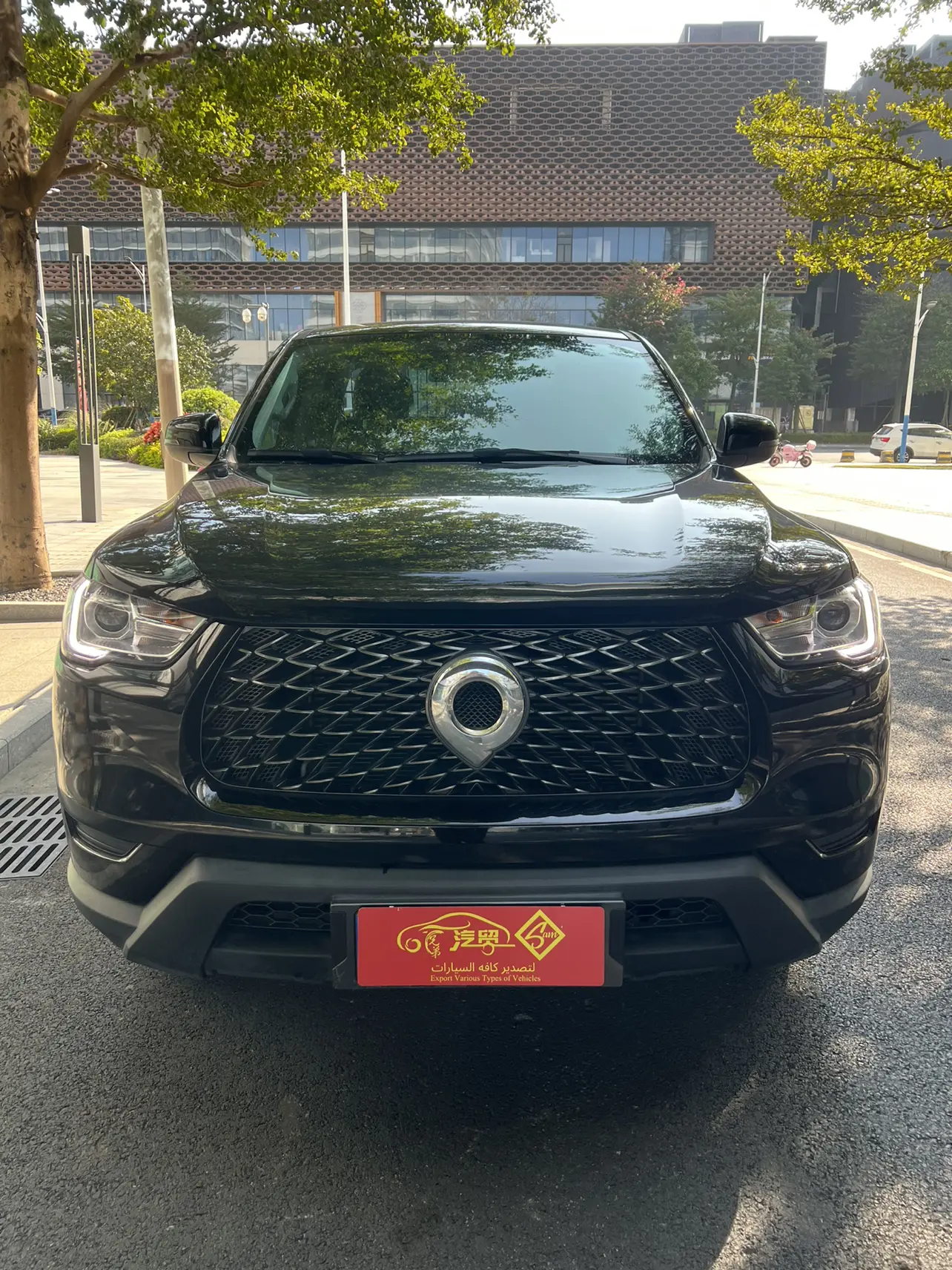 Great Wall Gun  из Китая