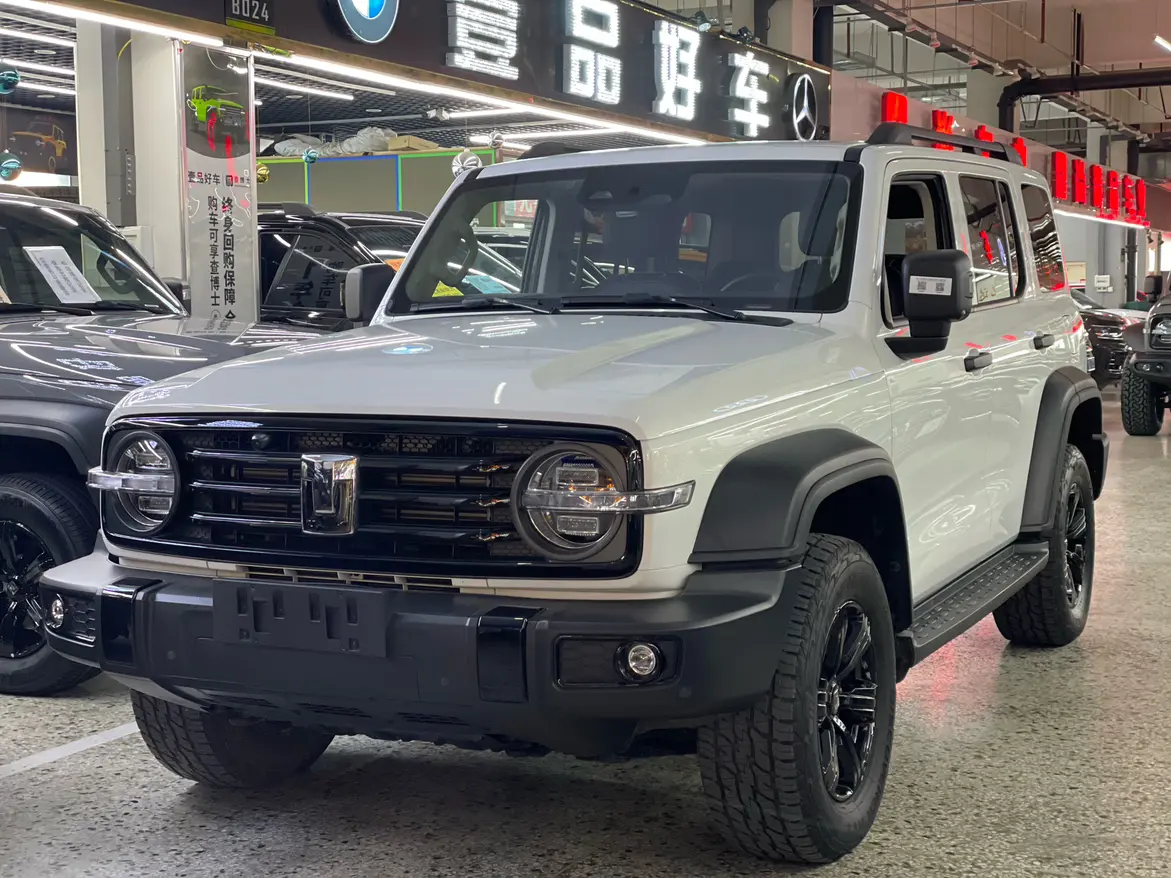 Tank 300  из Китая