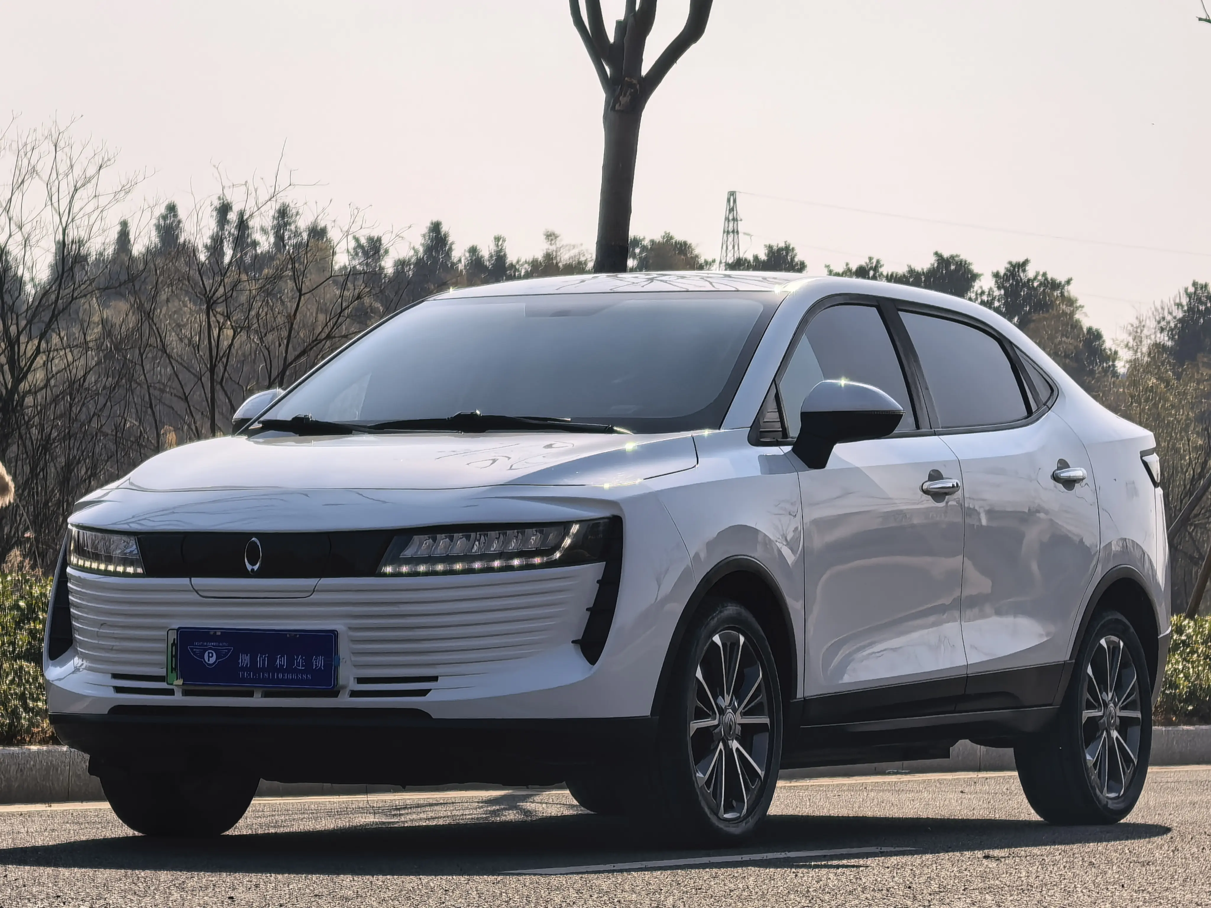 ORA Euler iQ  из Китая