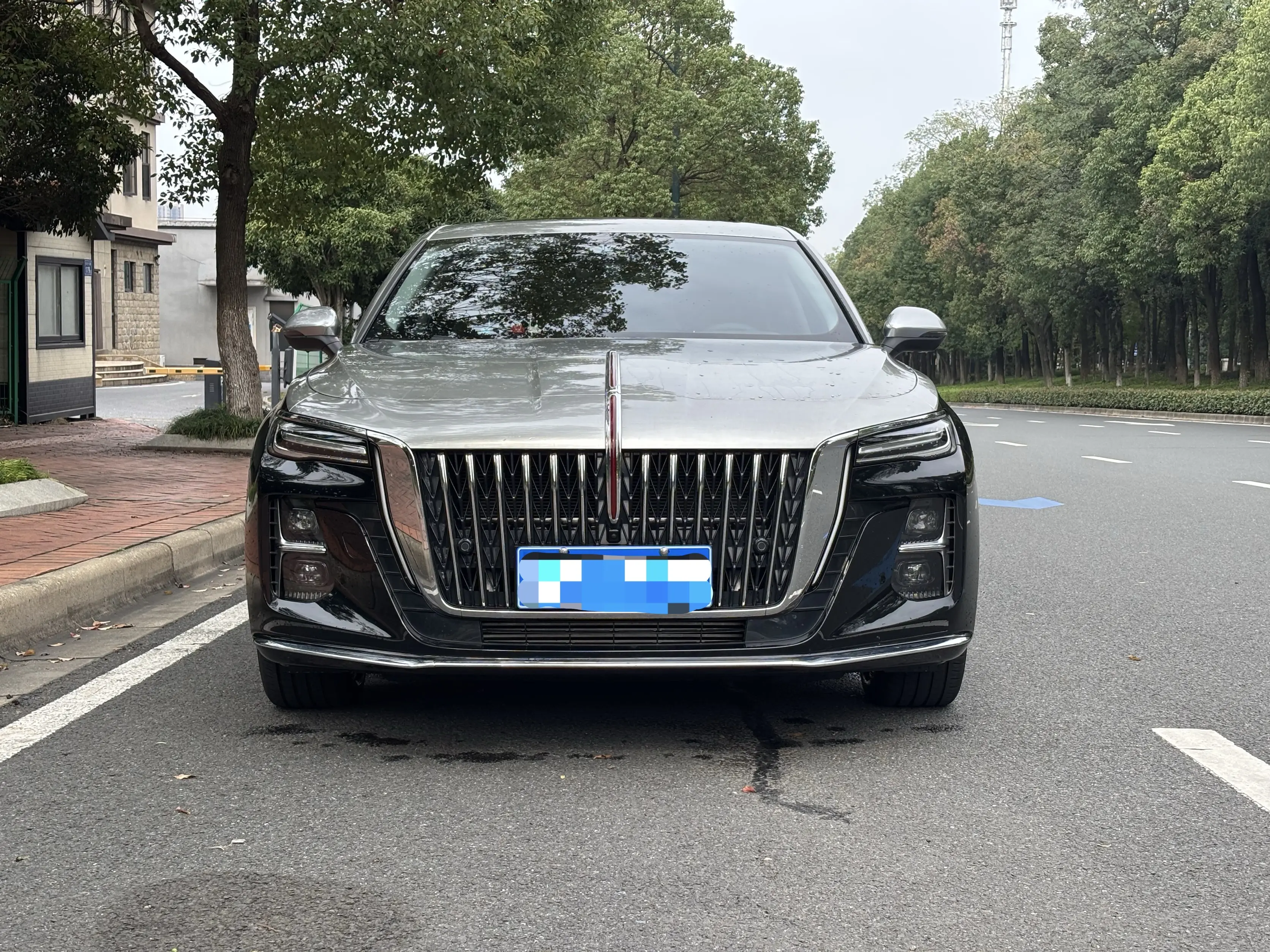 Hongqi H5  из Китая