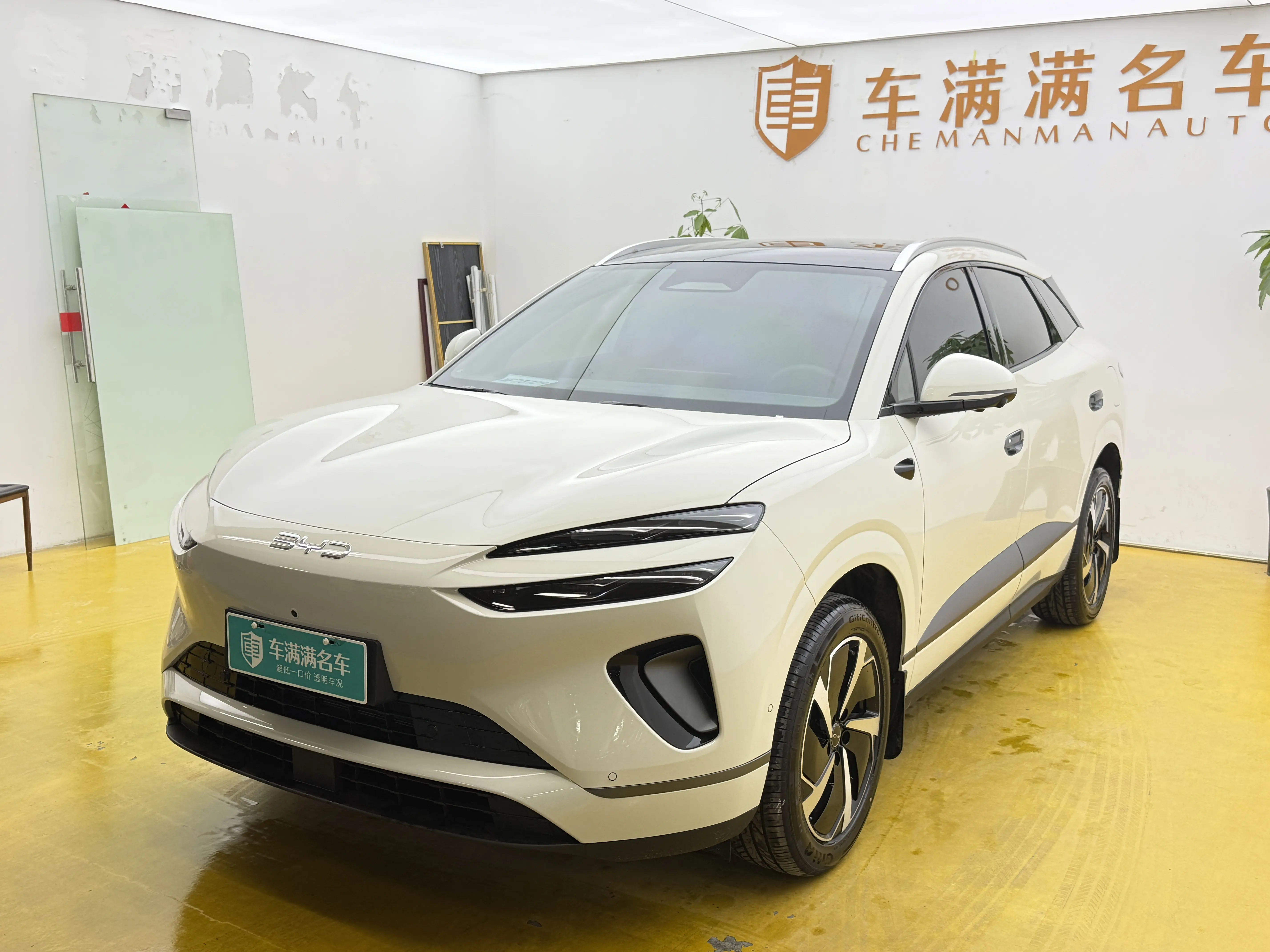 BYD Sea Lion 06DM  из Китая