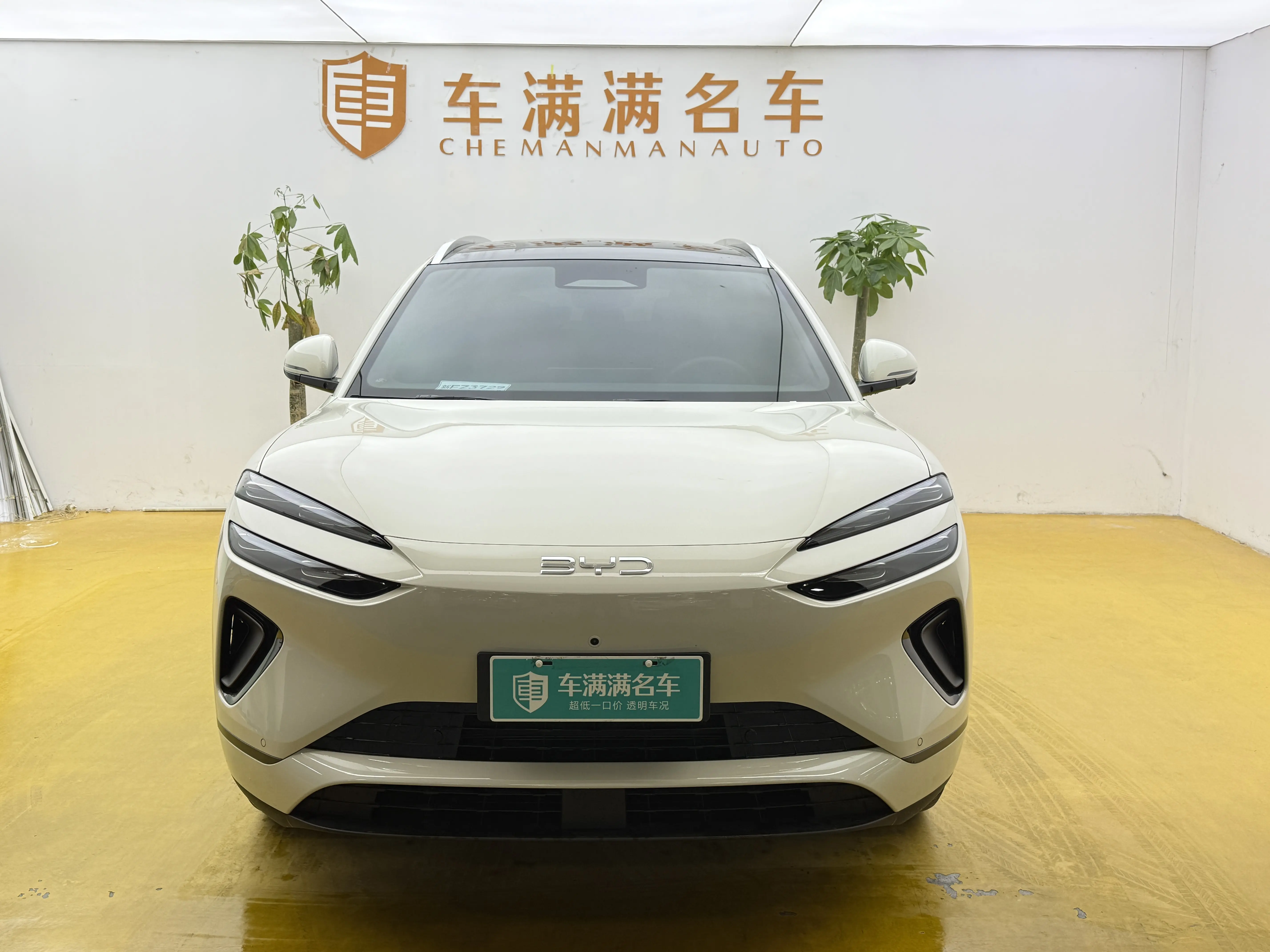 BYD Sea Lion 06DM  из Китая