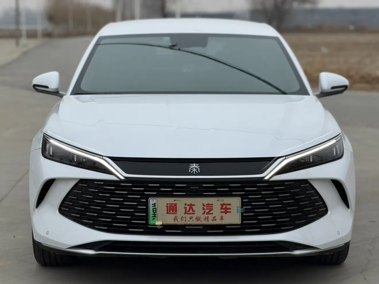 BYD Qin L DM  из Китая
