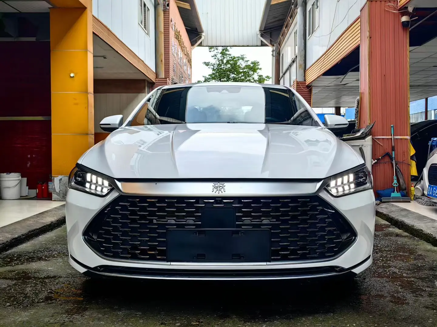 BYD Qin PLUS DM  из Китая