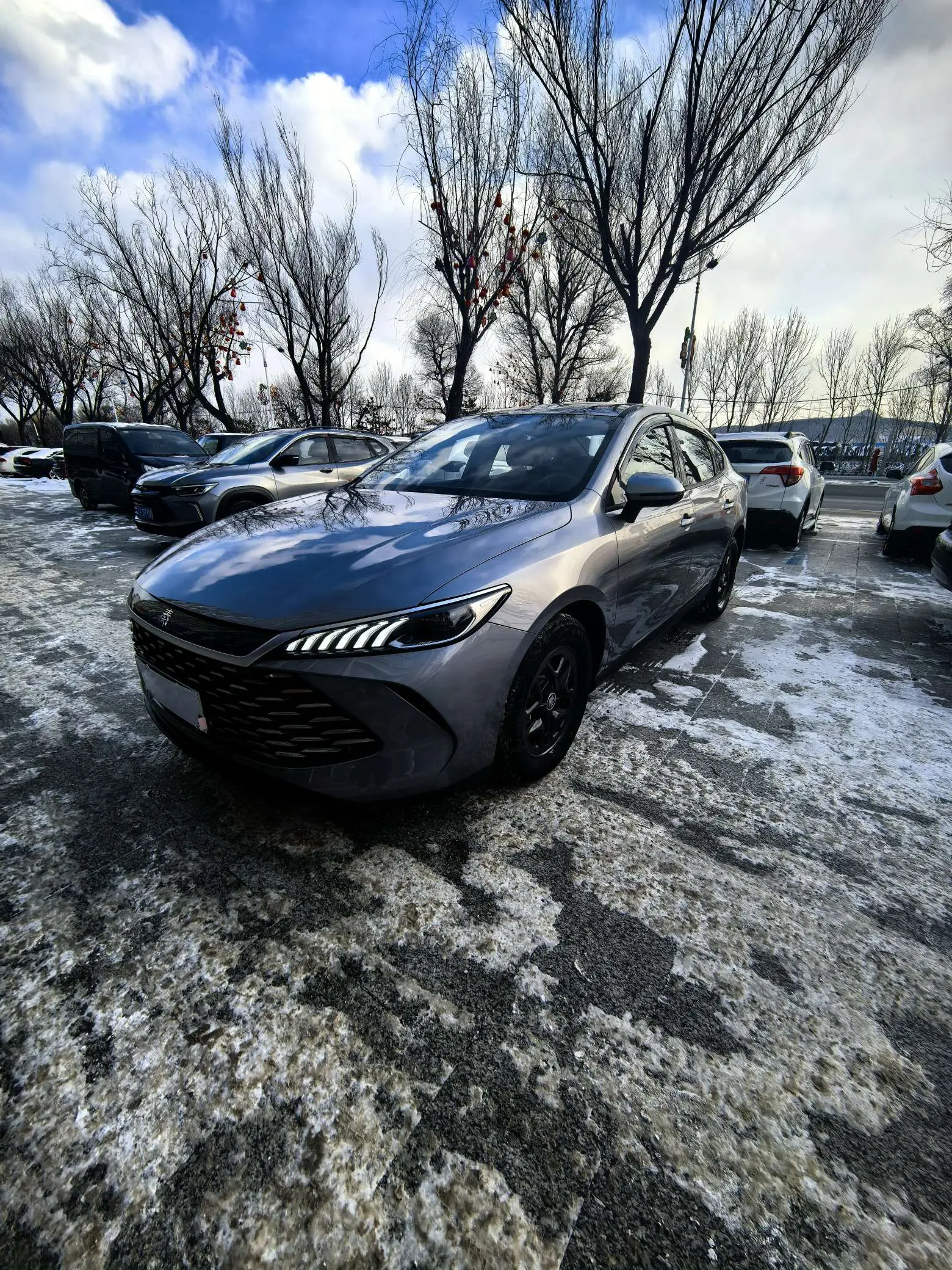 BYD Qin PLUS DM  из Китая