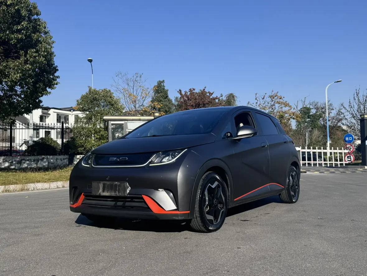 BYD Dolphin  из Китая