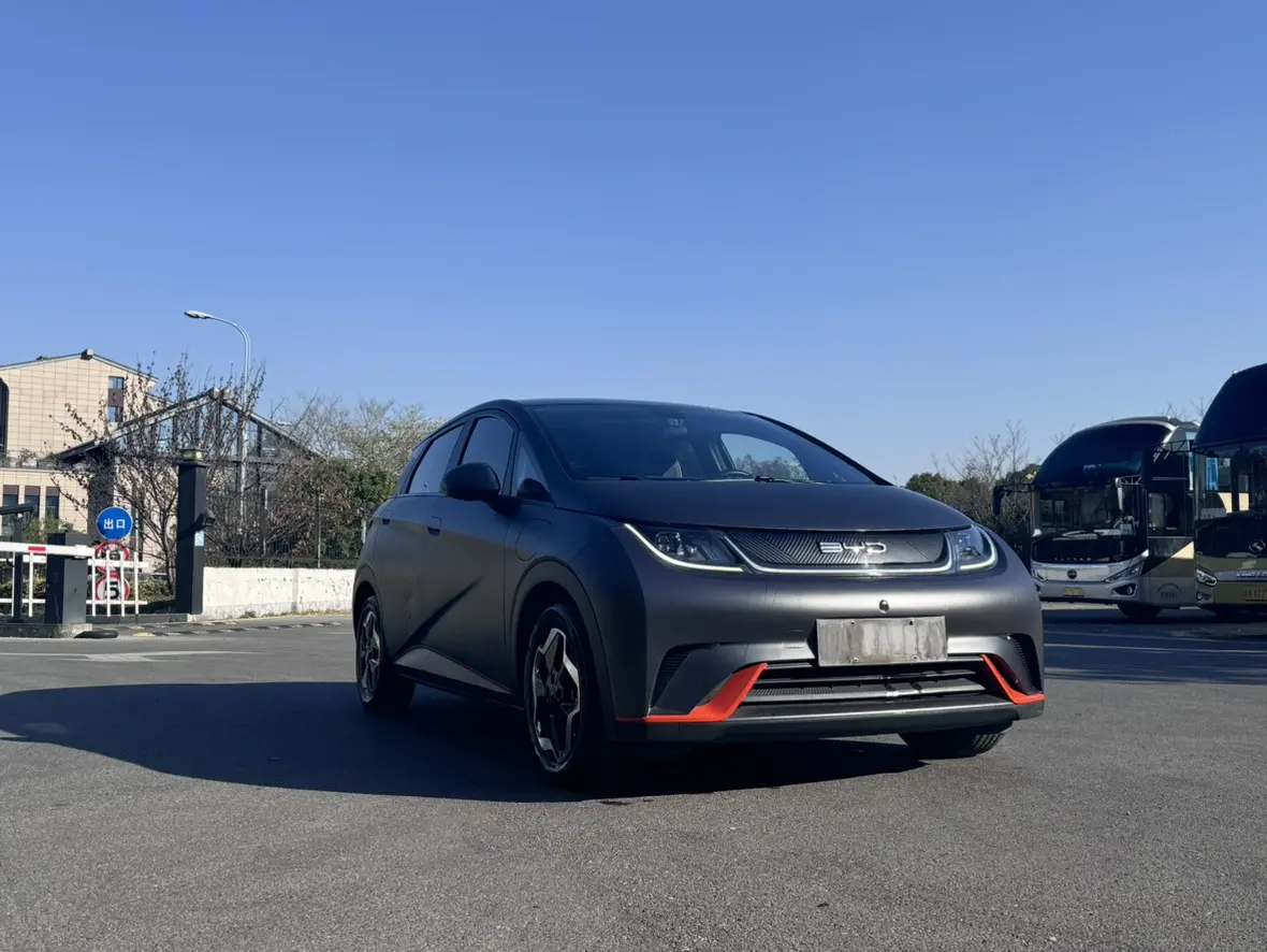 BYD Dolphin  из Китая