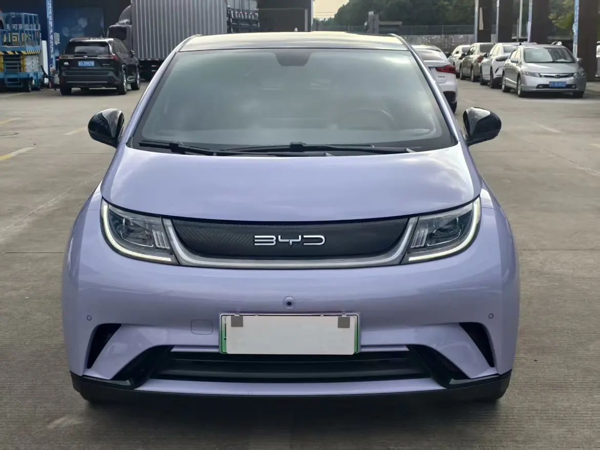 BYD Dolphin  из Китая