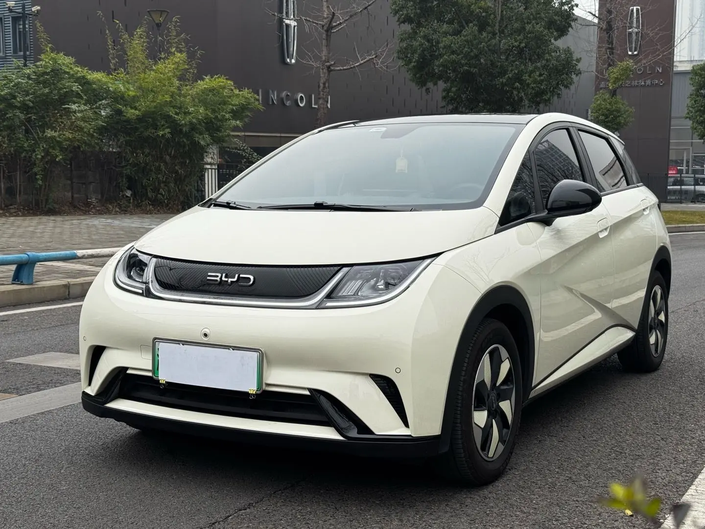 BYD Dolphin  из Китая