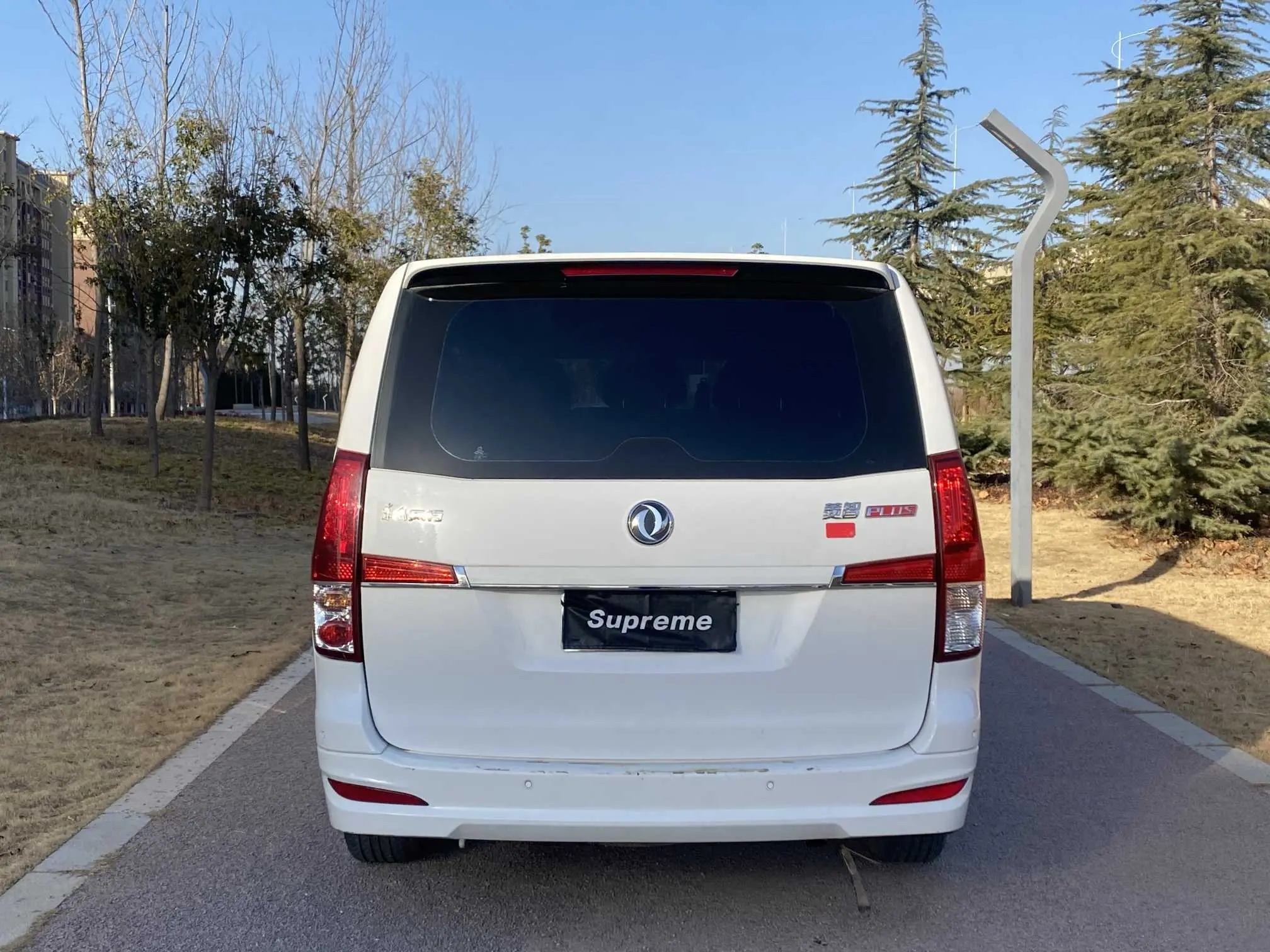 Forthing Lingzhi PLUS  из Китая