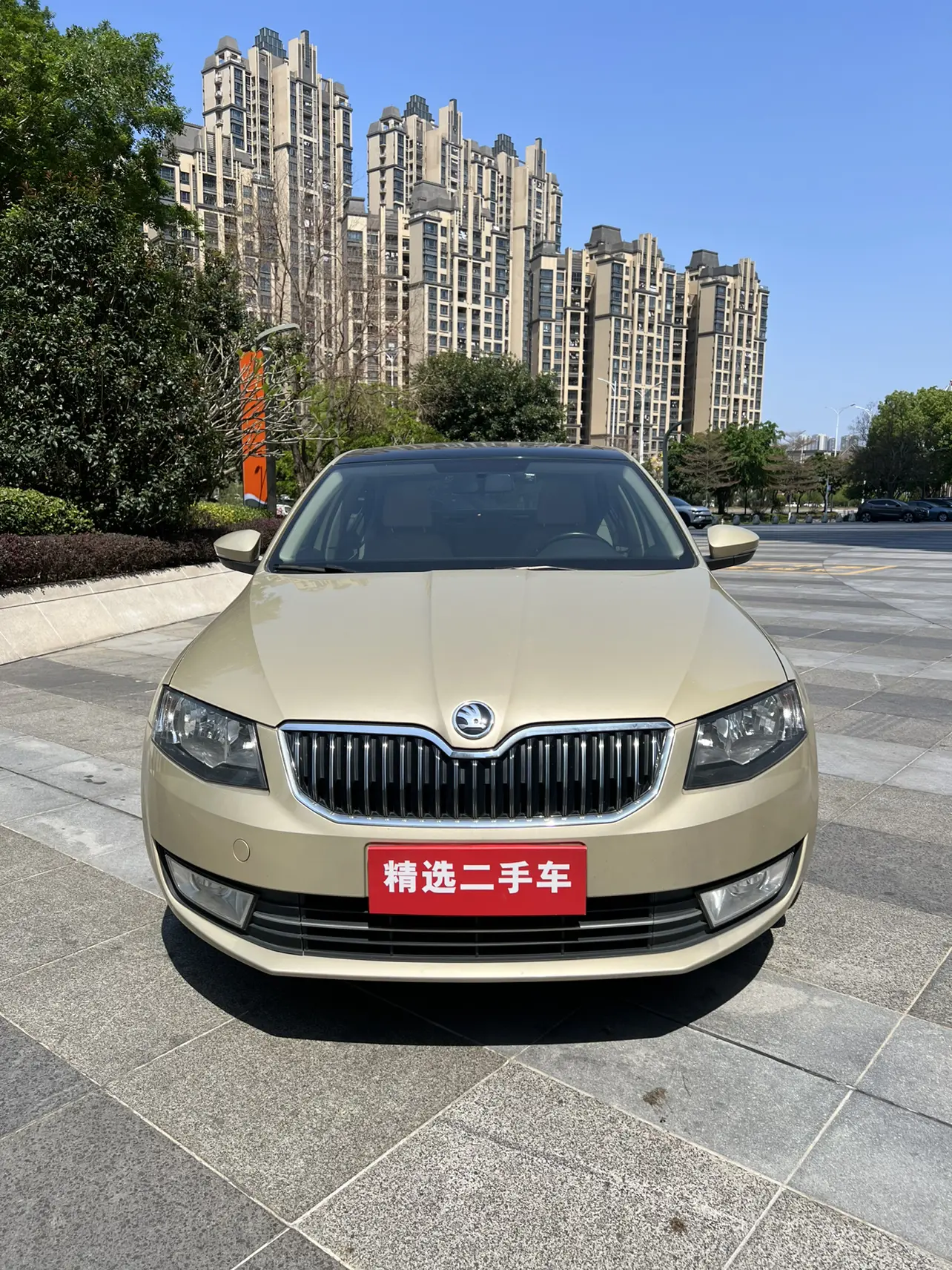 Skoda Octavia  из Китая