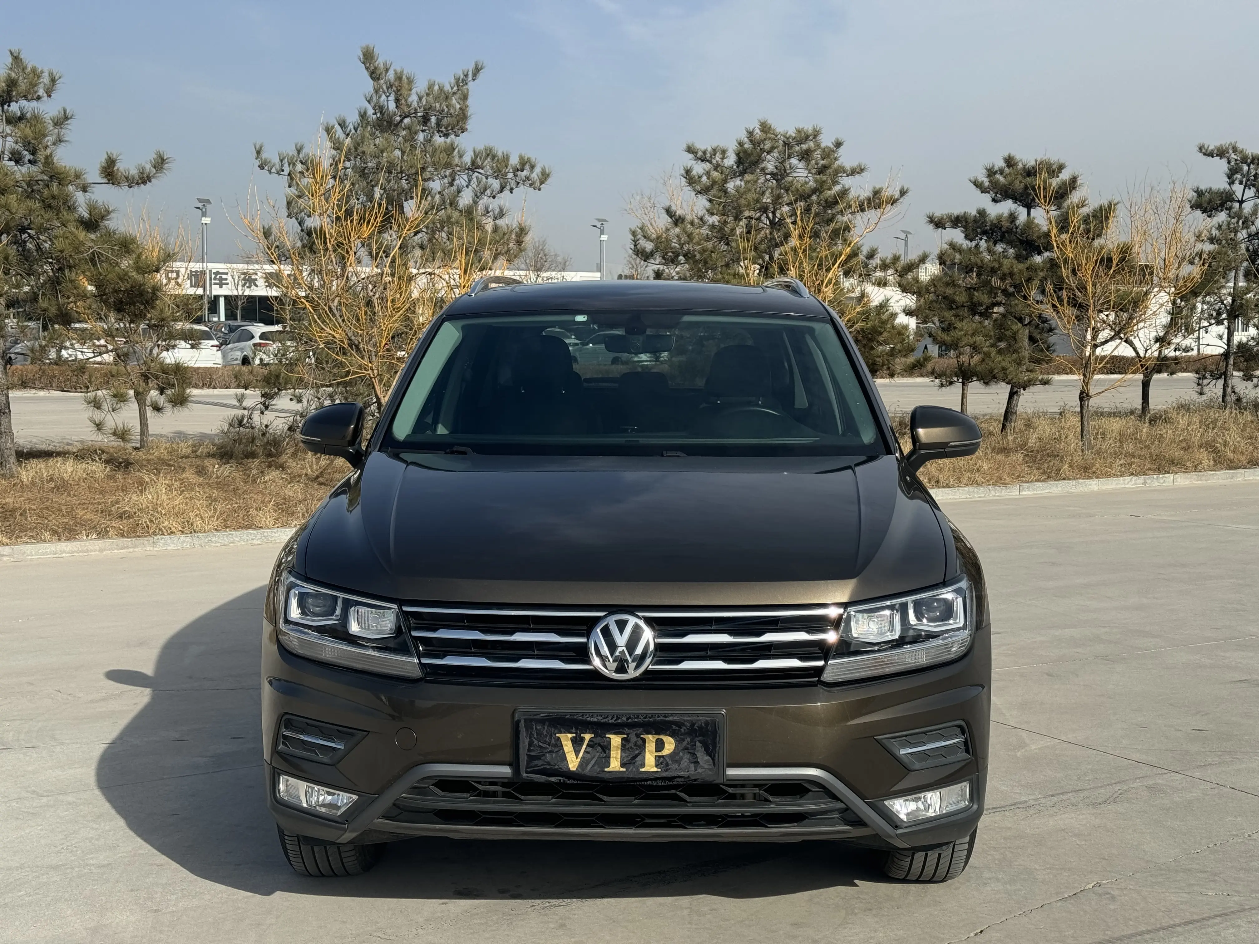 Volkswagen Tiguan L  из Китая