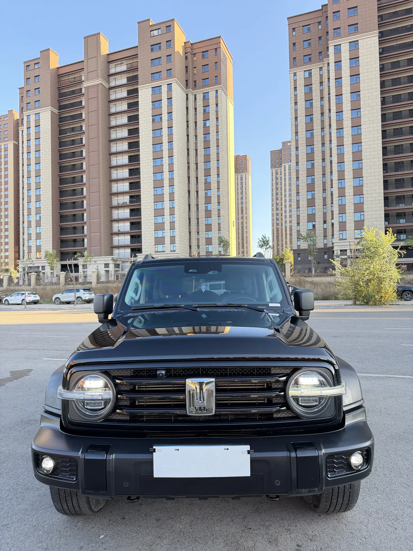 Tank 300  из Китая