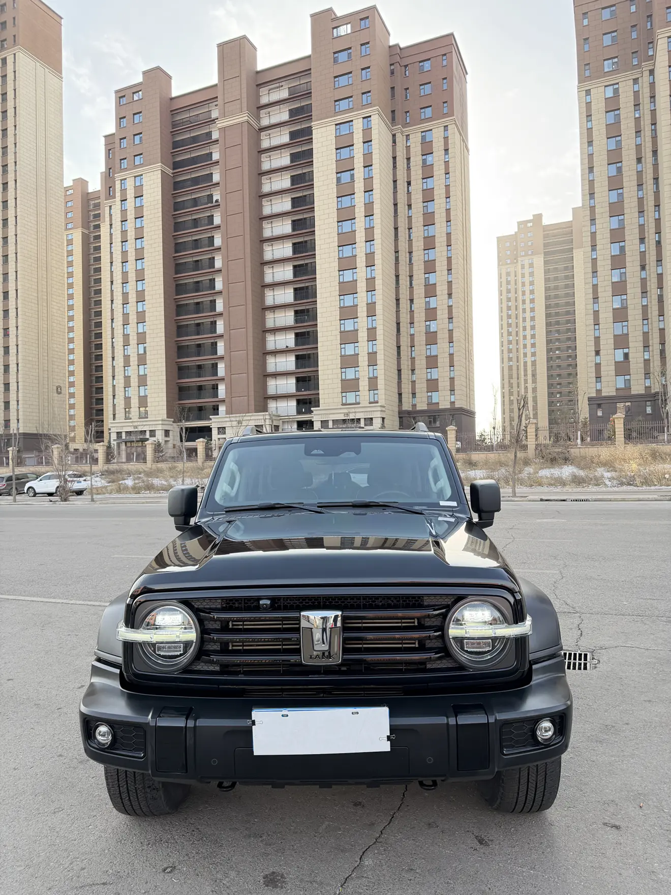 Tank 300  из Китая