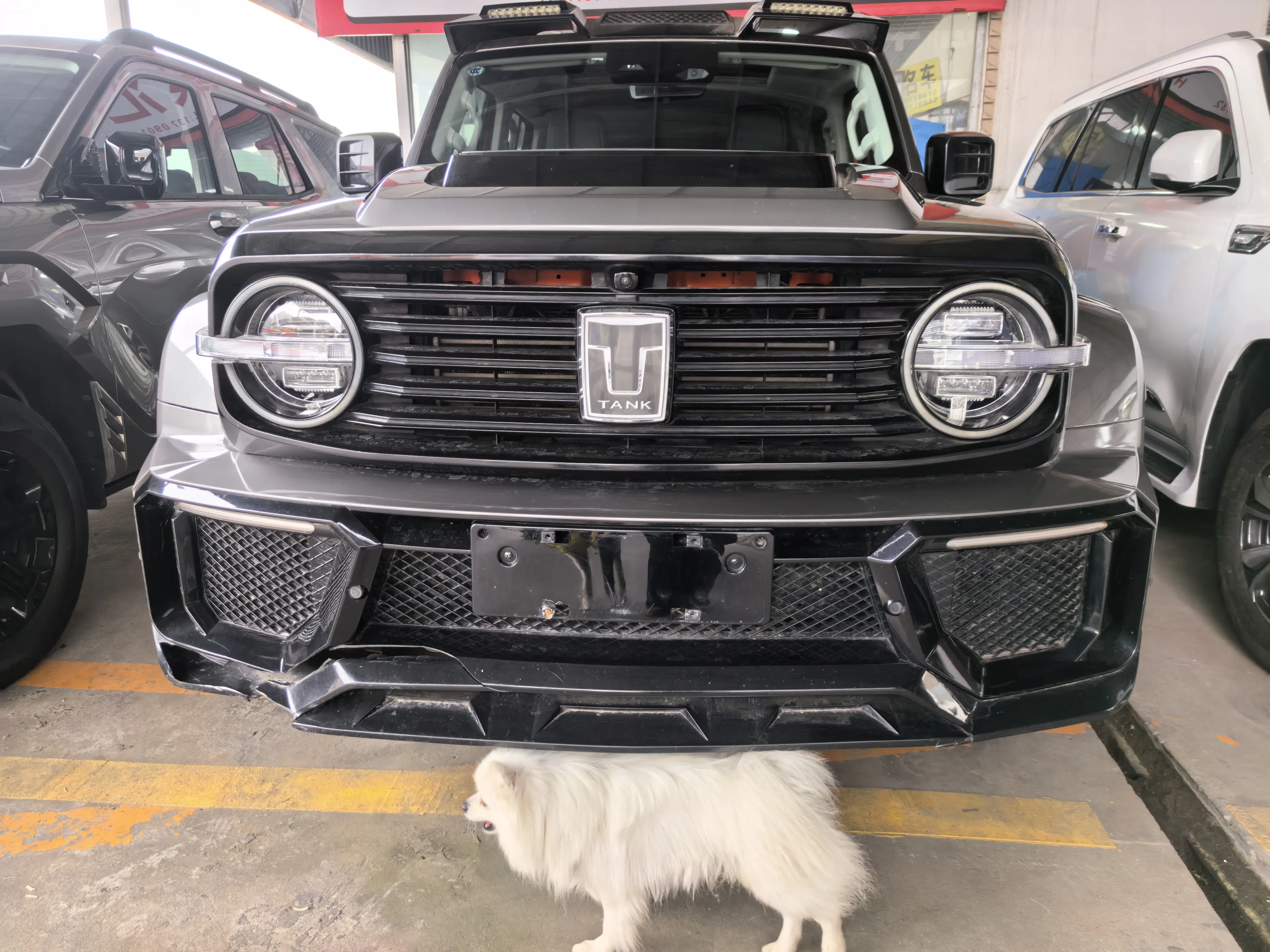 Tank 300  из Китая