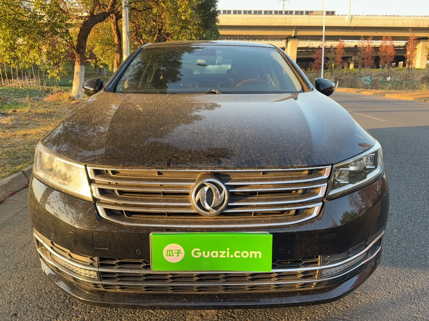 Dongfeng A9  из Китая