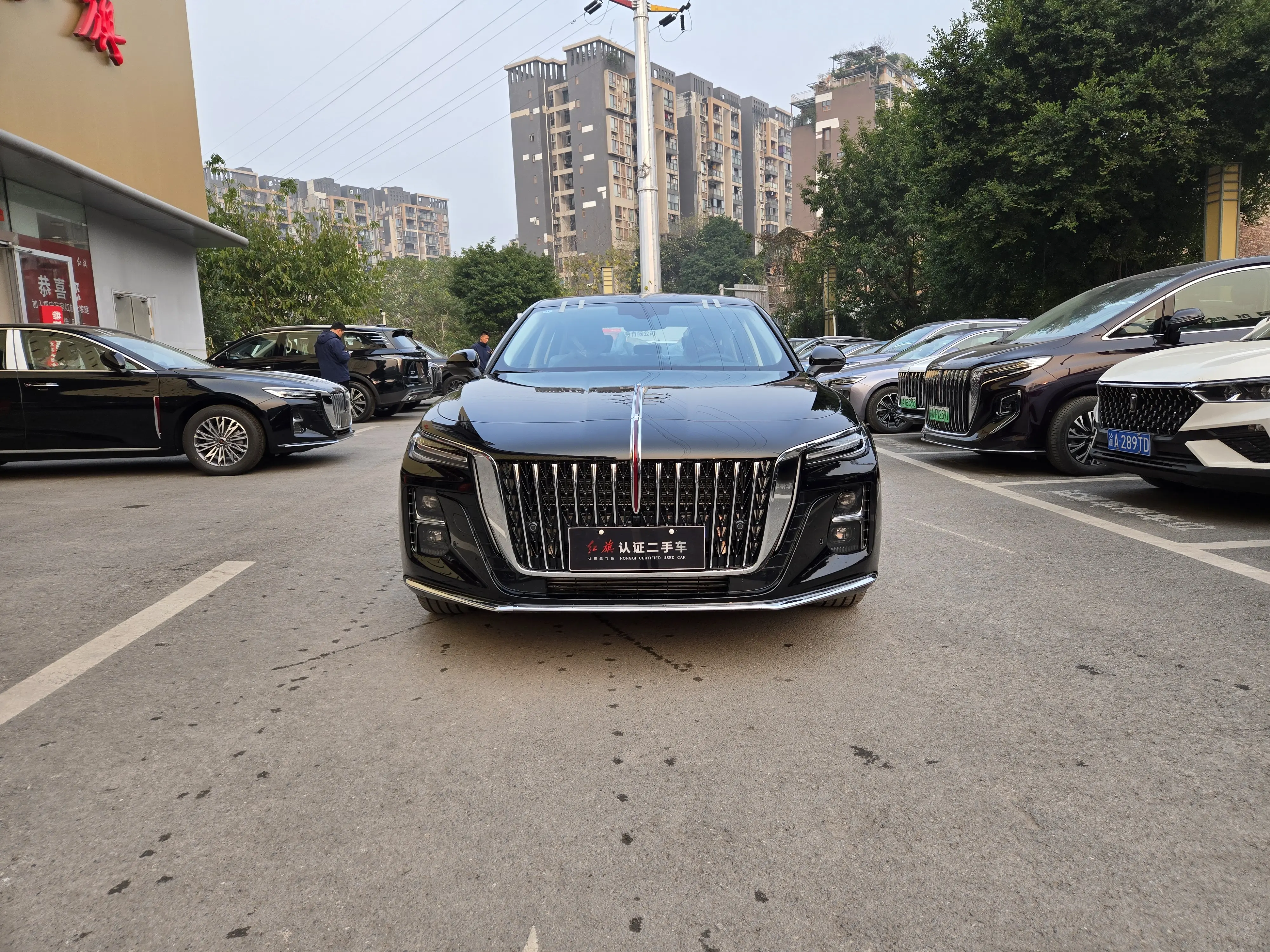 Hongqi H5  из Китая