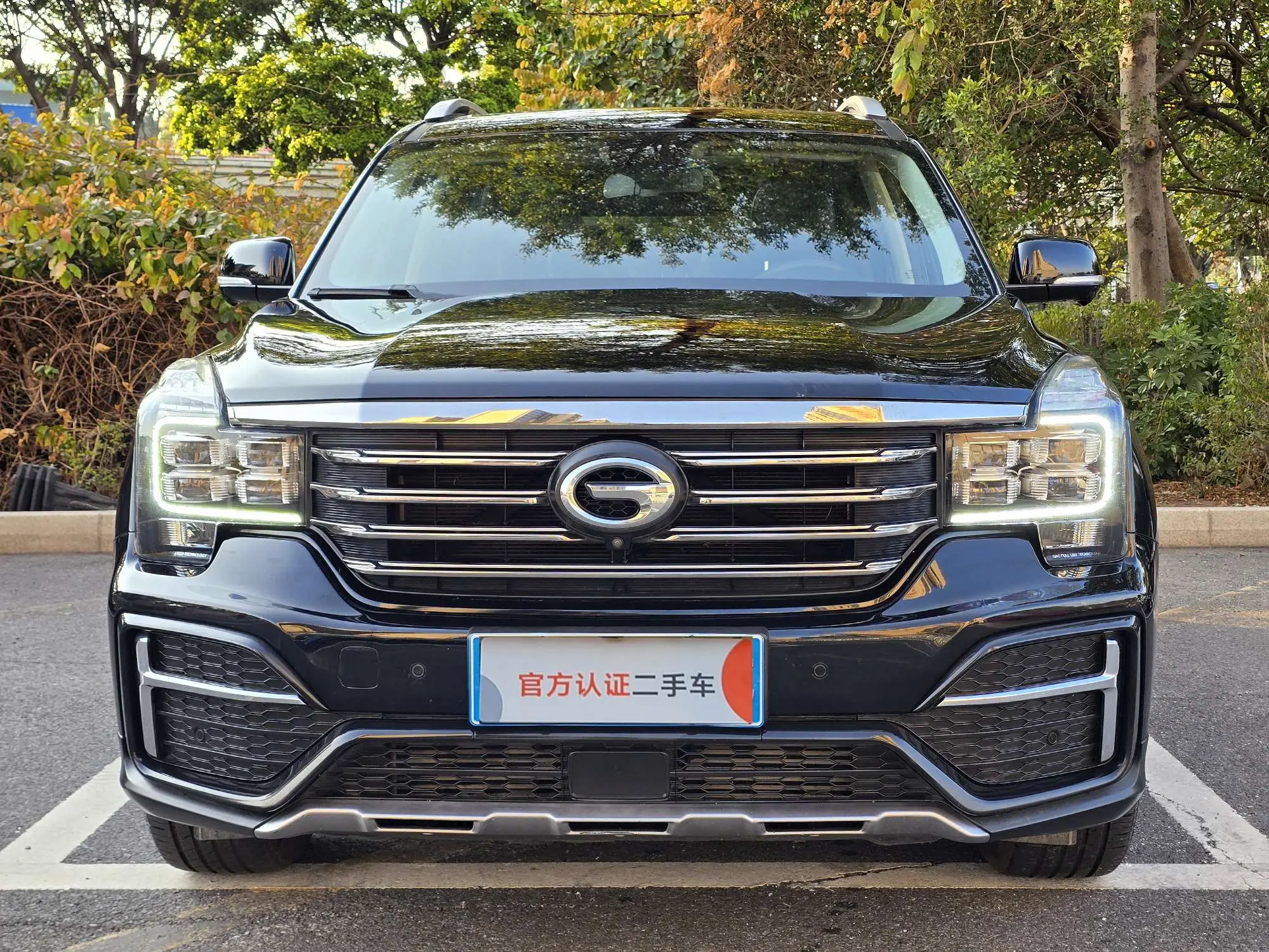 GAC Trumpchi GS8  из Китая