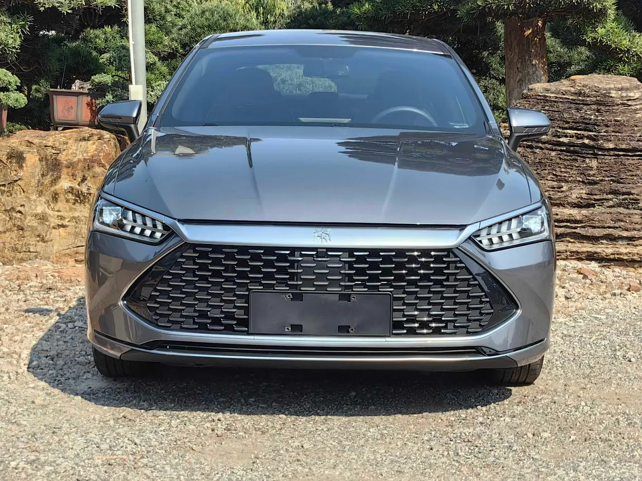 BYD Qin PLUS DM  из Китая