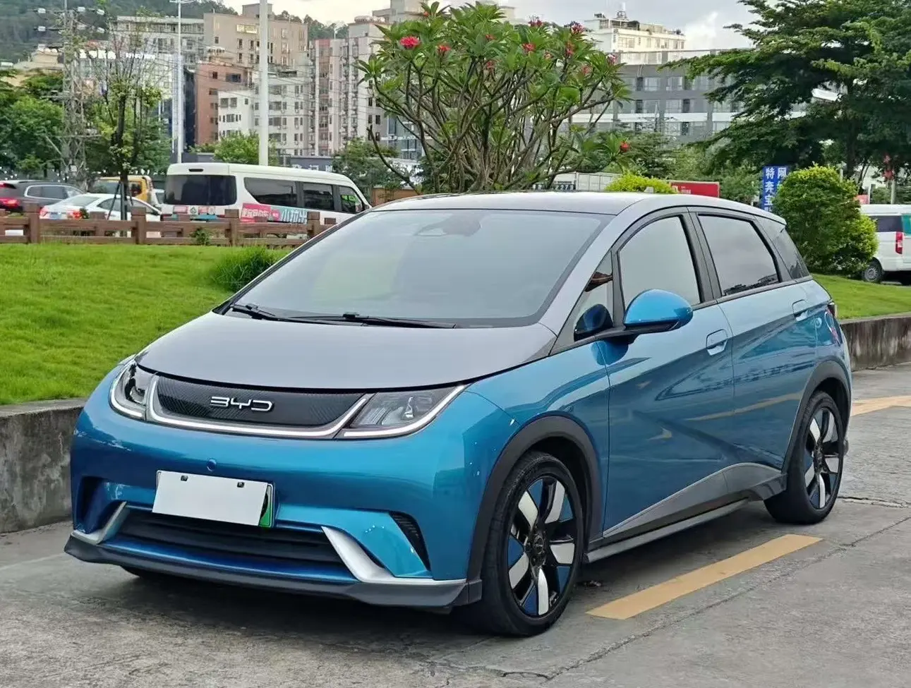 BYD Dolphin  из Китая
