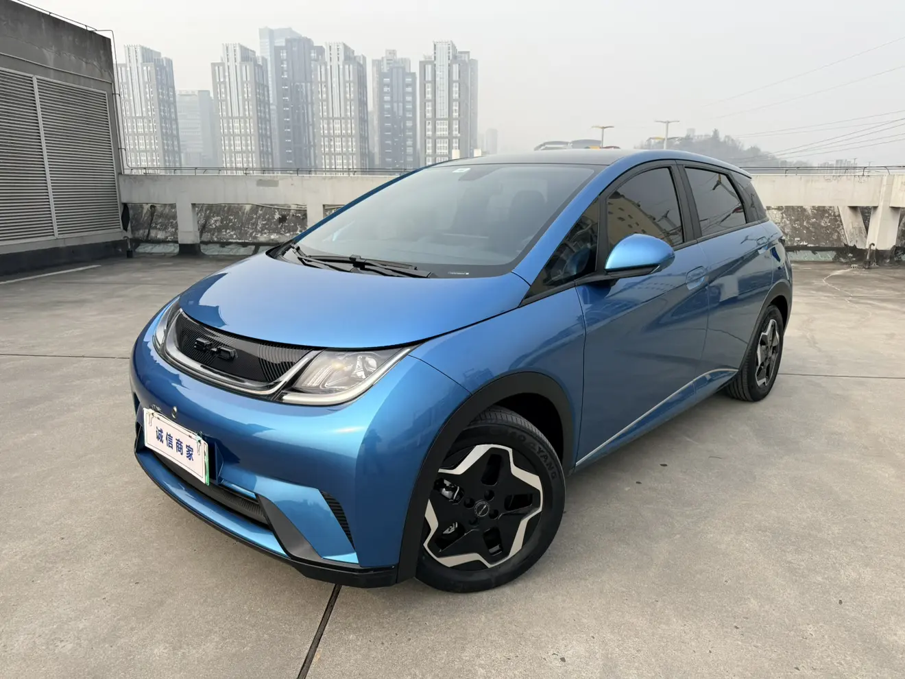 BYD Dolphin  из Китая