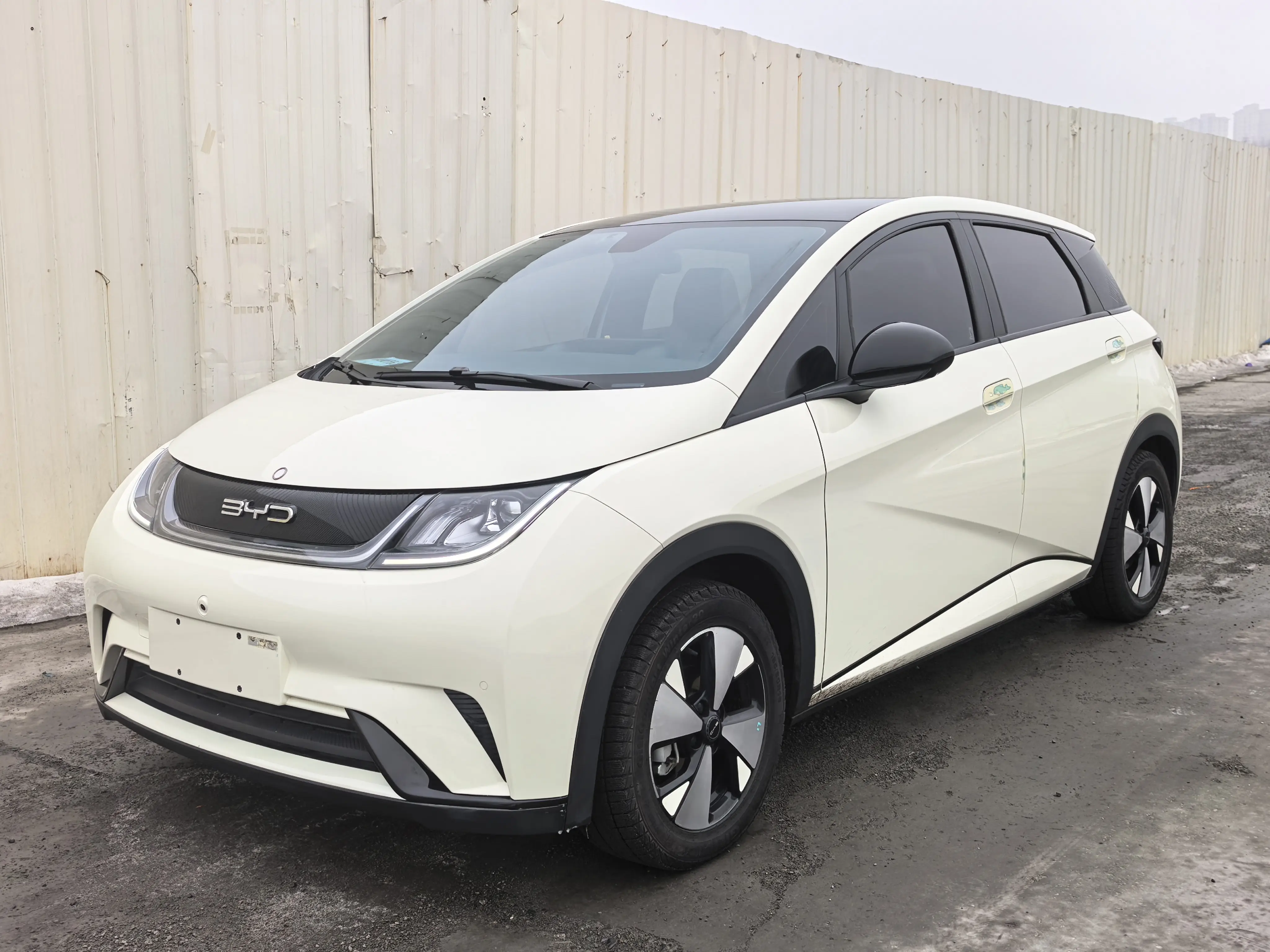 BYD Dolphin  из Китая