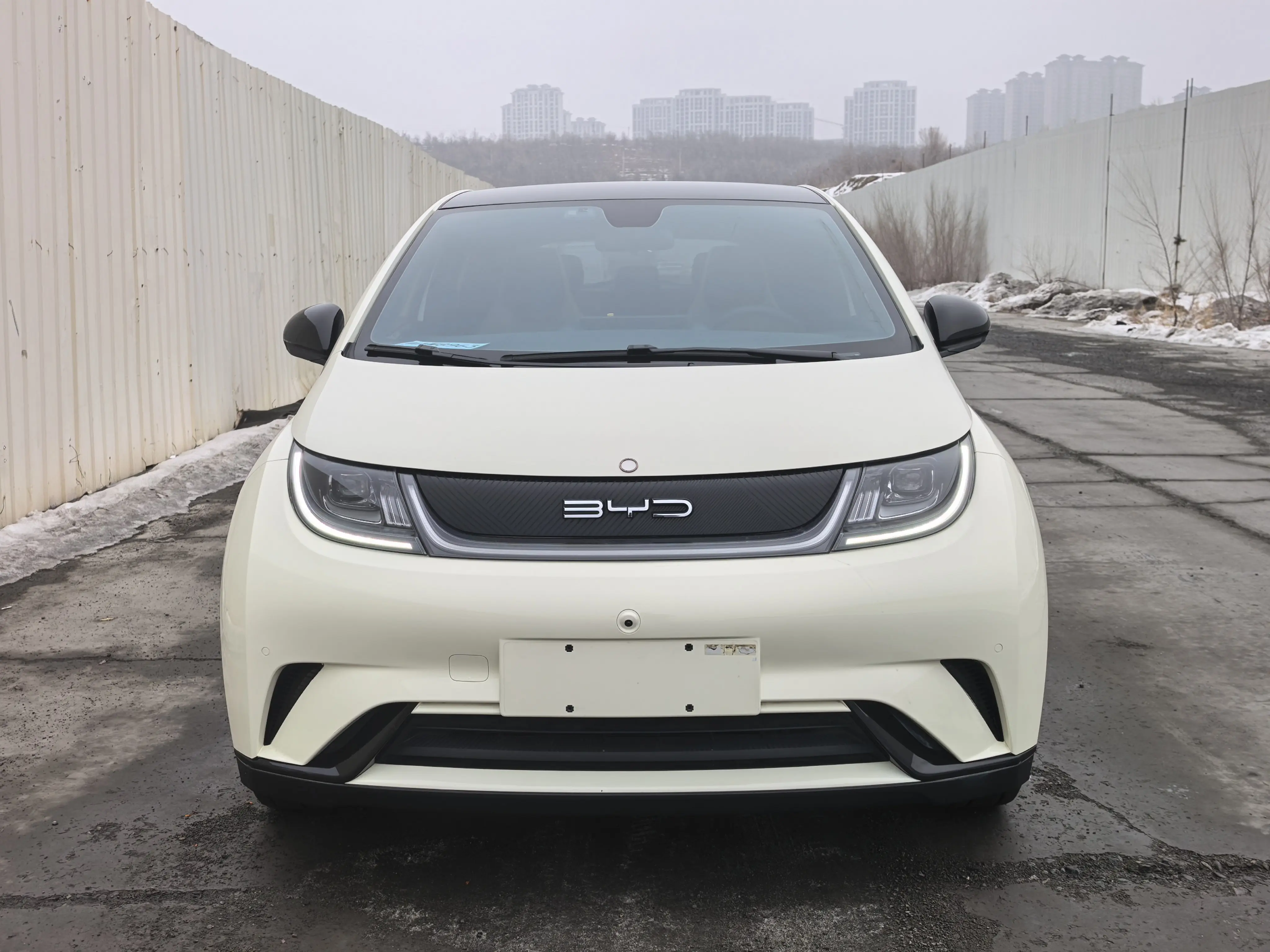 BYD Dolphin  из Китая