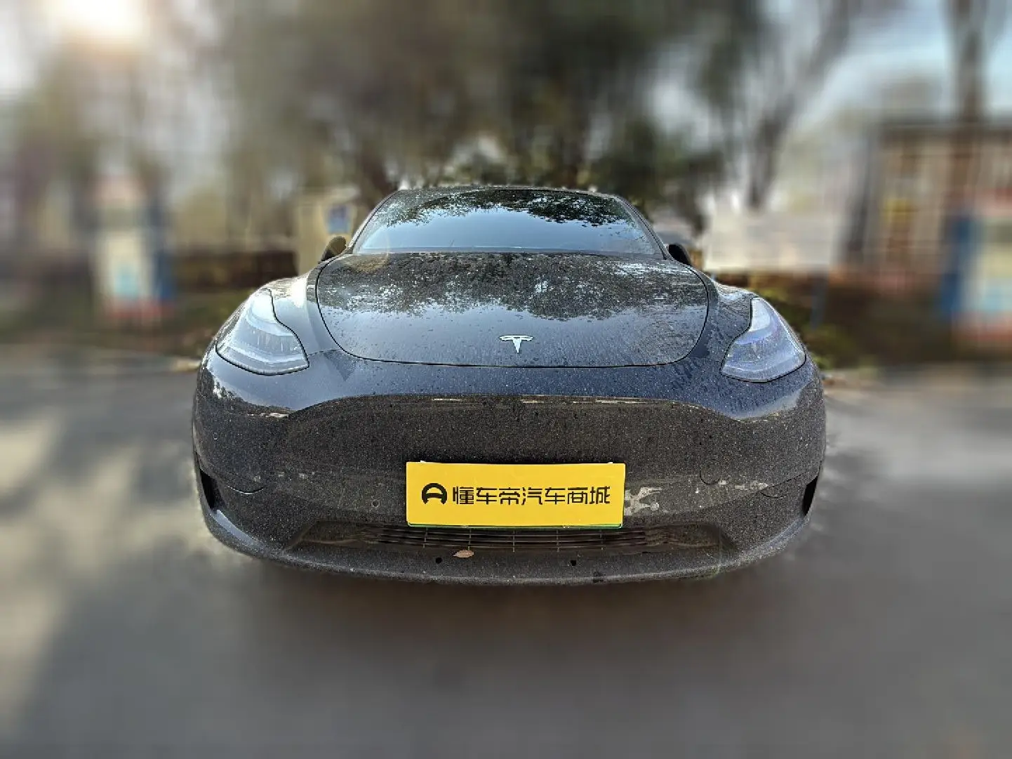 Tesla Model Y  из Китая