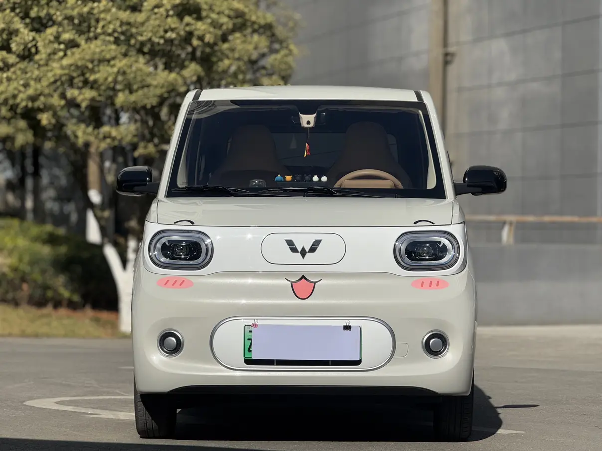 Wuling Hongguang MINIEV  из Китая