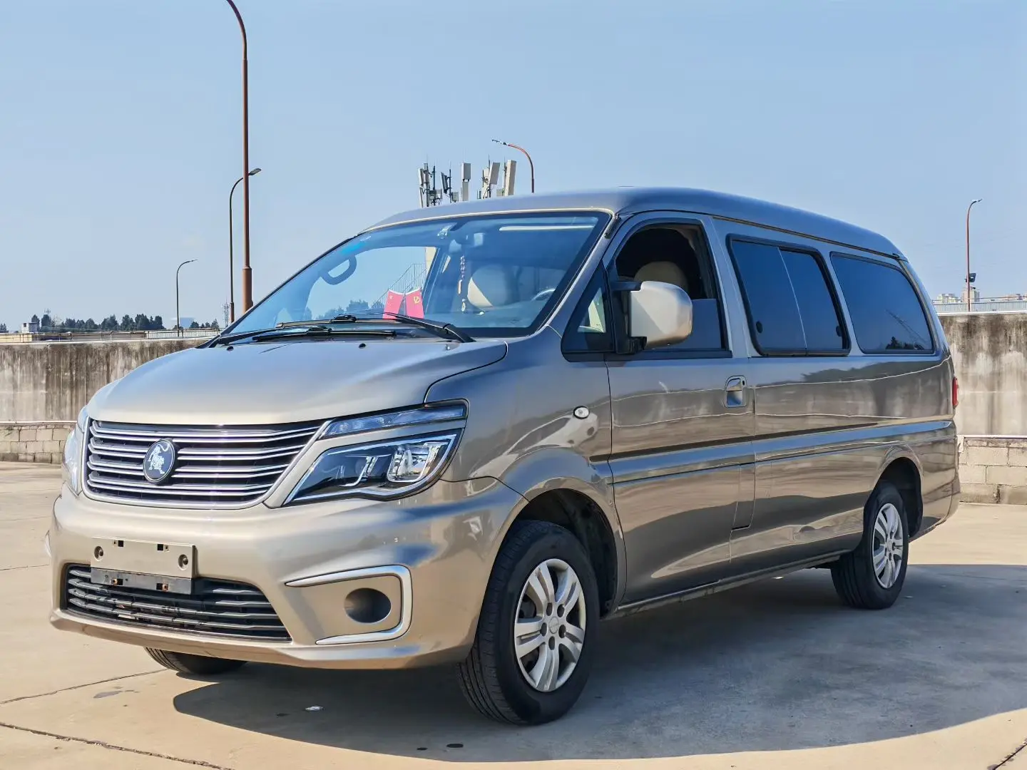 Forthing Lingzhi  из Китая