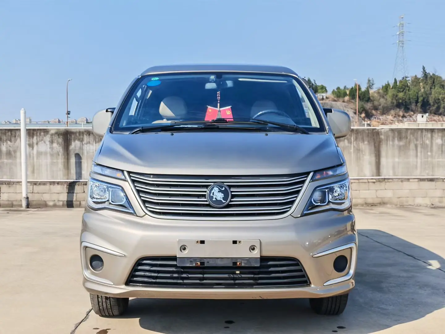 Forthing Lingzhi  из Китая