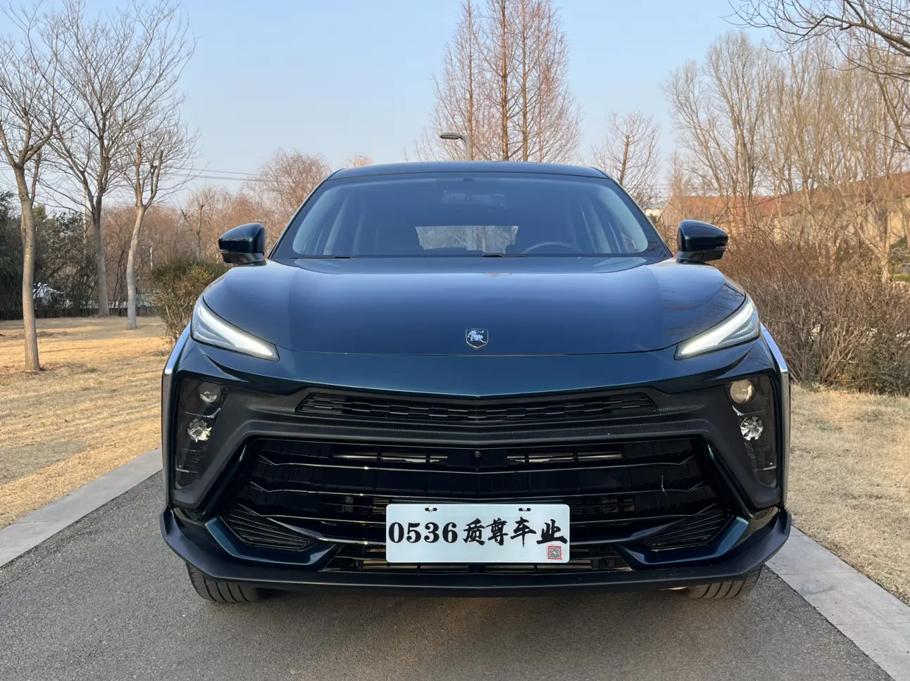 Forthing Fengxing T5 EVO  из Китая