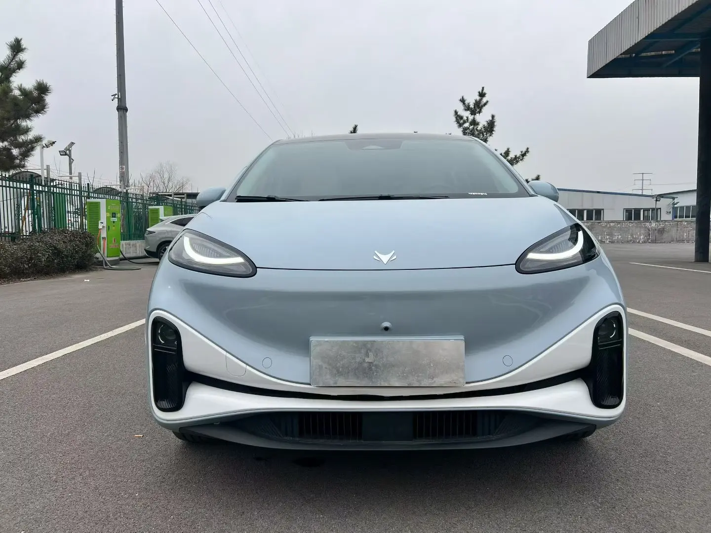 ARCFOX Extreme Fox Arctic Fox Koala S  из Китая