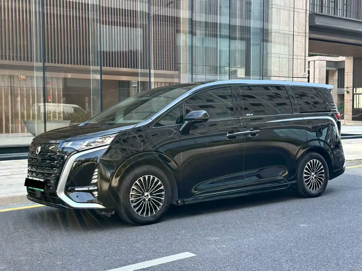 Denza D9 DM  из Китая