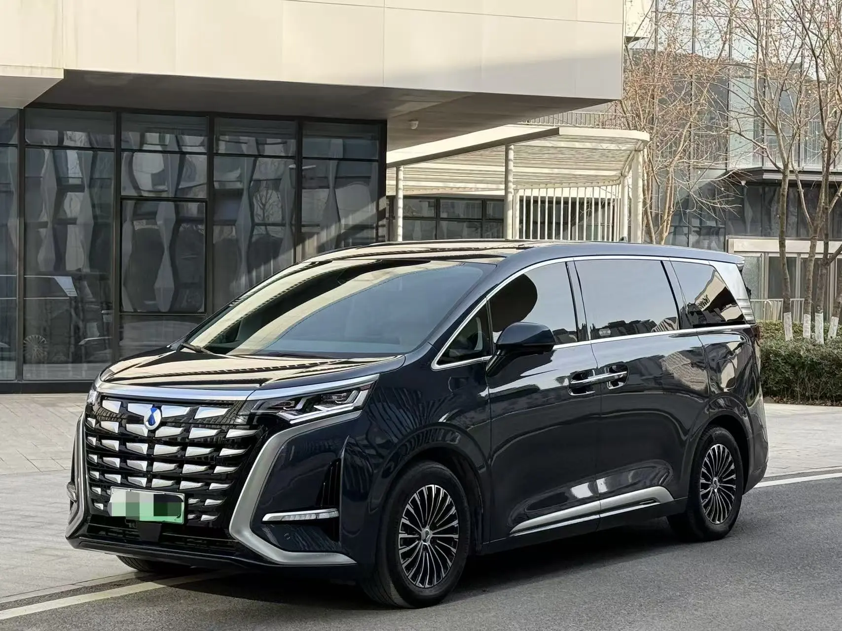 Denza D9 DM  из Китая