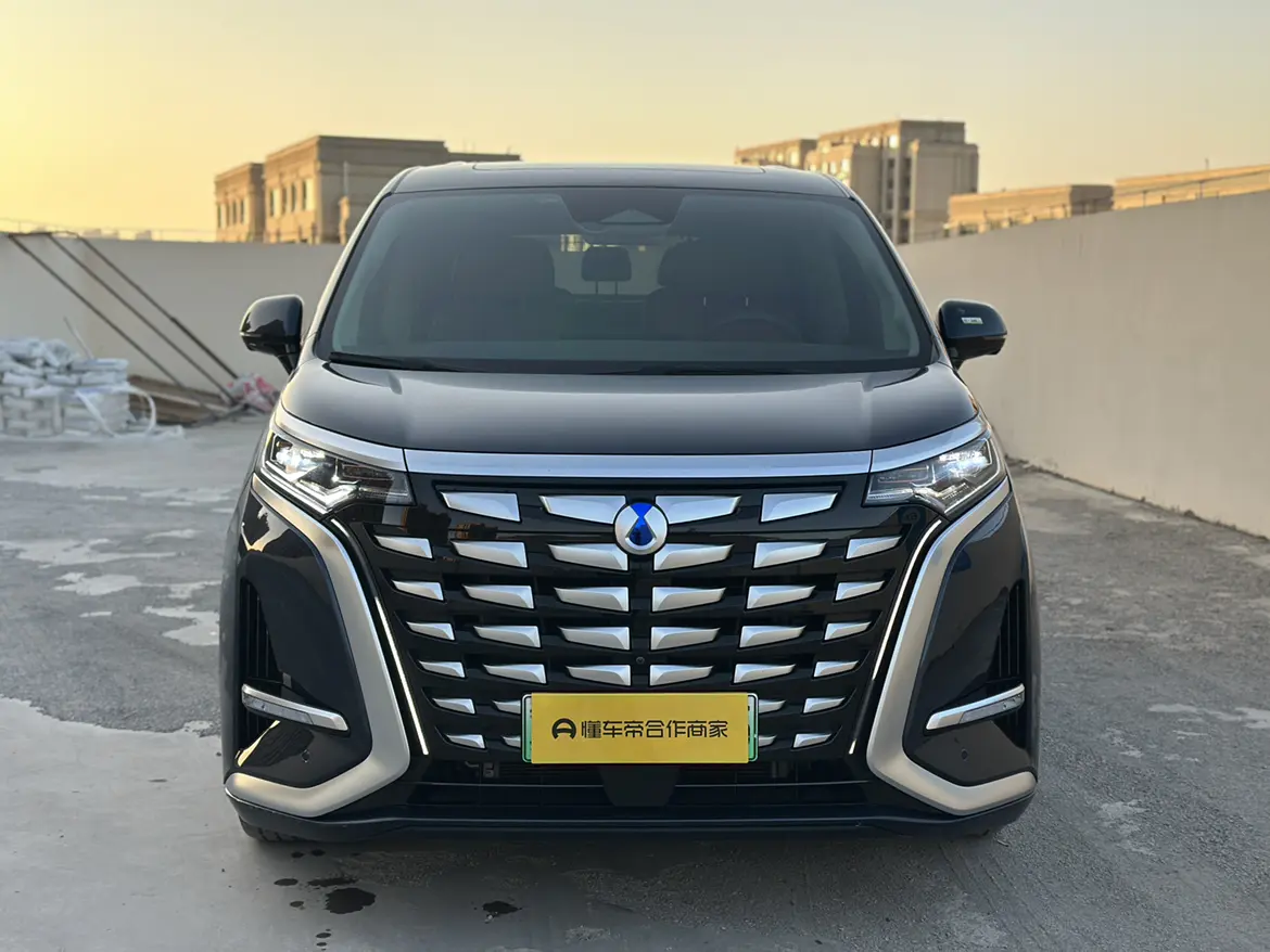 Denza D9 DM  из Китая